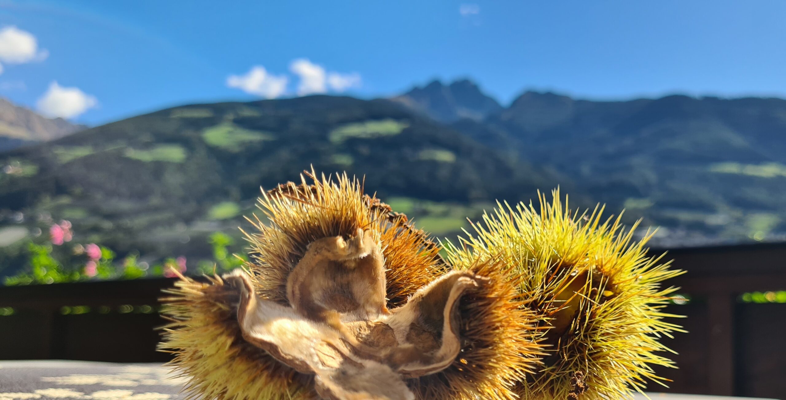 Herbsturlaub Südtirol: 9 Gründe für unvergessliche Tage im Burggrafenamt