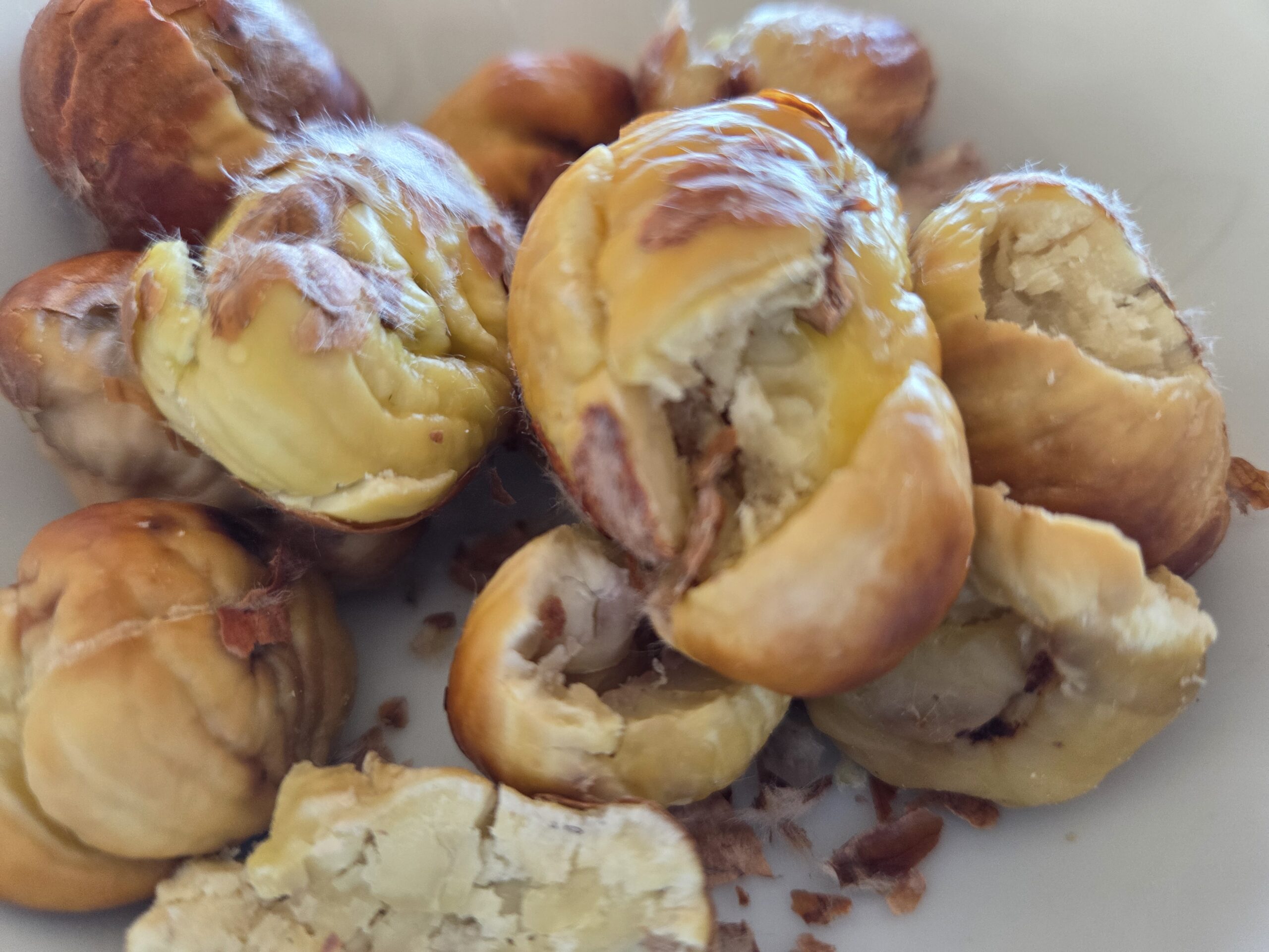 Törggelen in Südtirol – Genuss, Tradition und Herbstzauber rund um Meran